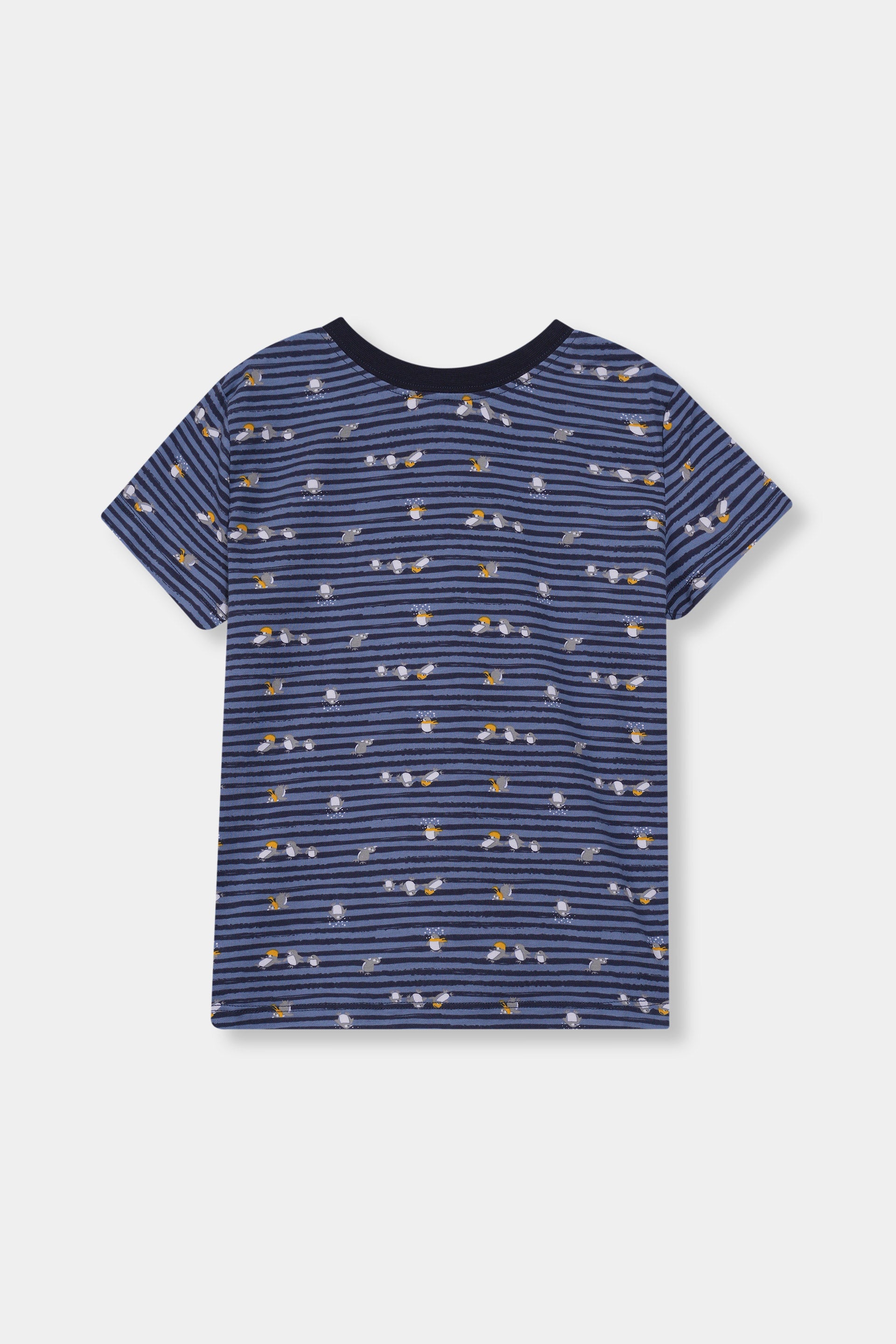 Boys 100% Imported Soft Cotton Blue Graphics Printed T-Shirt