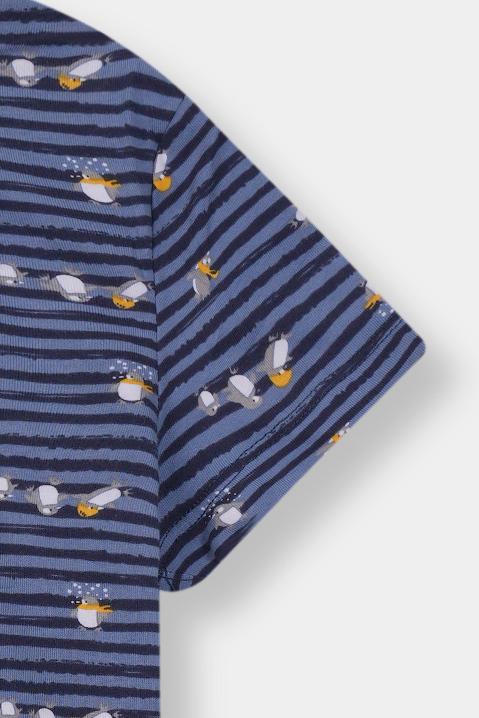 Boys 100% Imported Soft Cotton Blue Graphics Printed T-Shirt