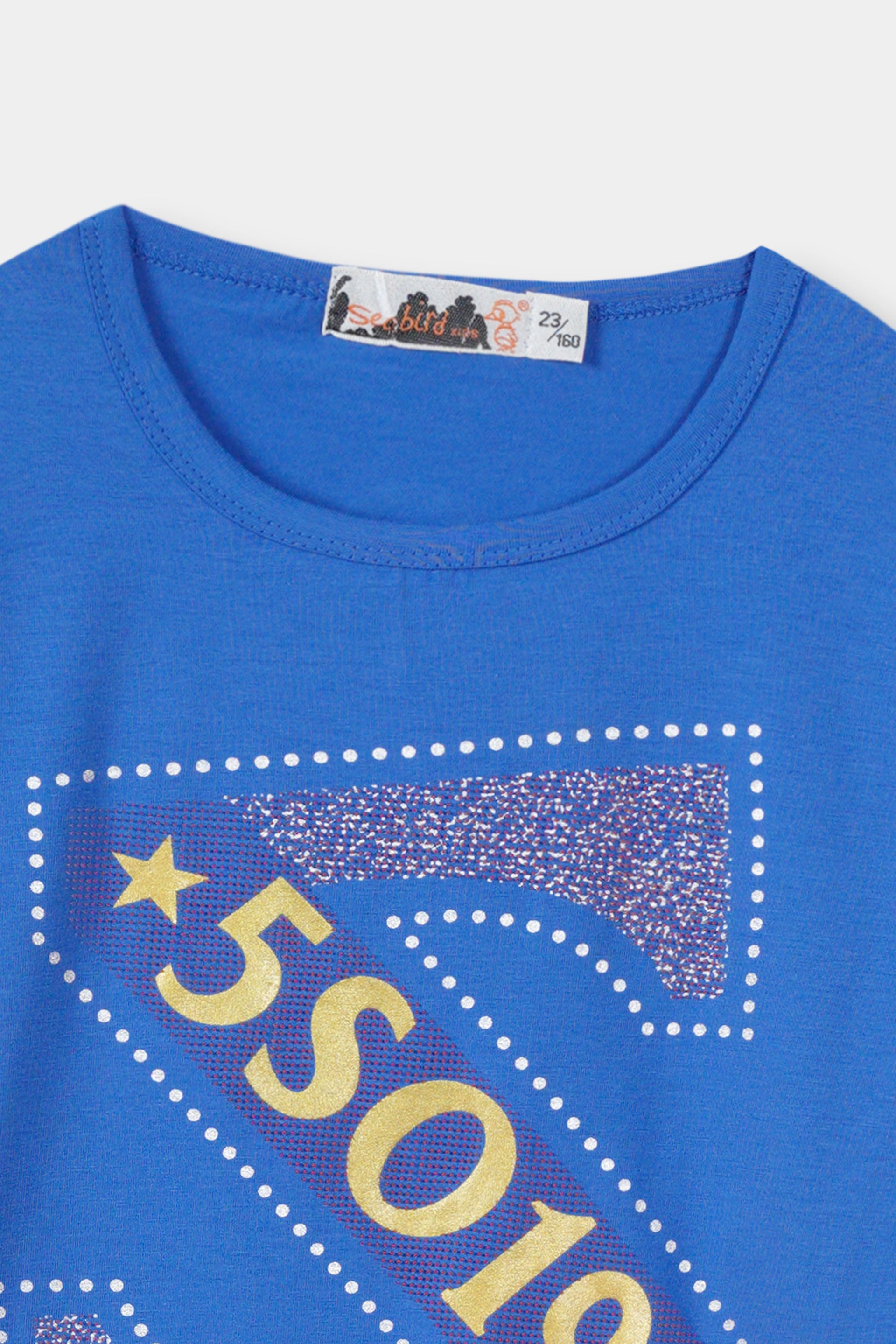Boys Imported Graphic Print Green T-shirt with Long Sleeves and Crew Neck