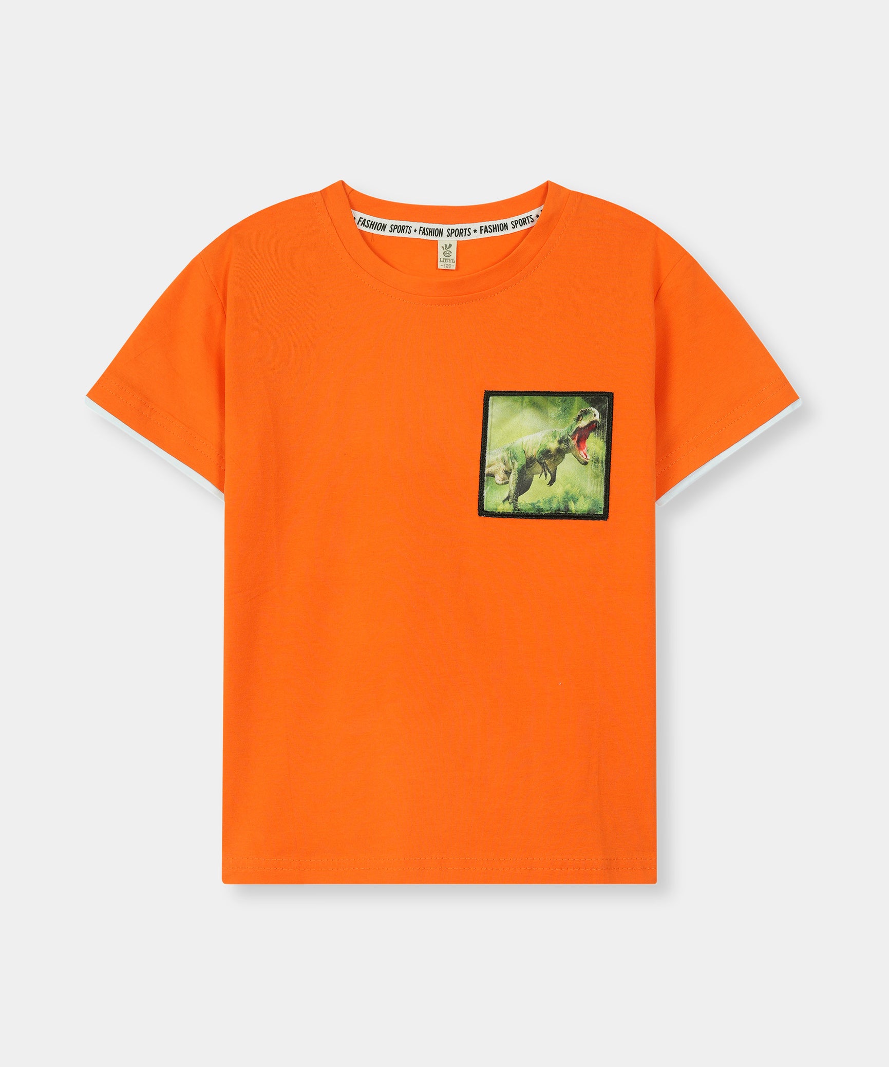 Boys 100% Imported Soft Cotton Orange Graphics Printed T-Shirt