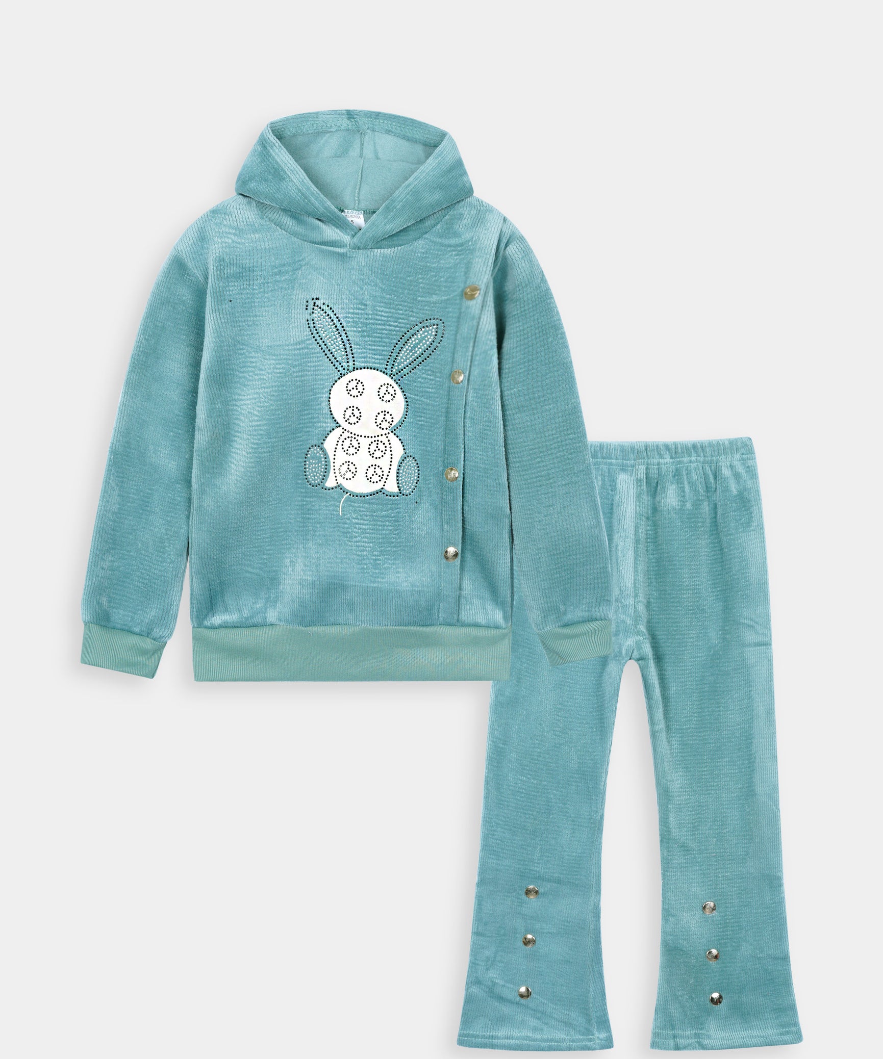 Imported Girls Pull Over Kotrai Velvet Printed Hoodie Suit