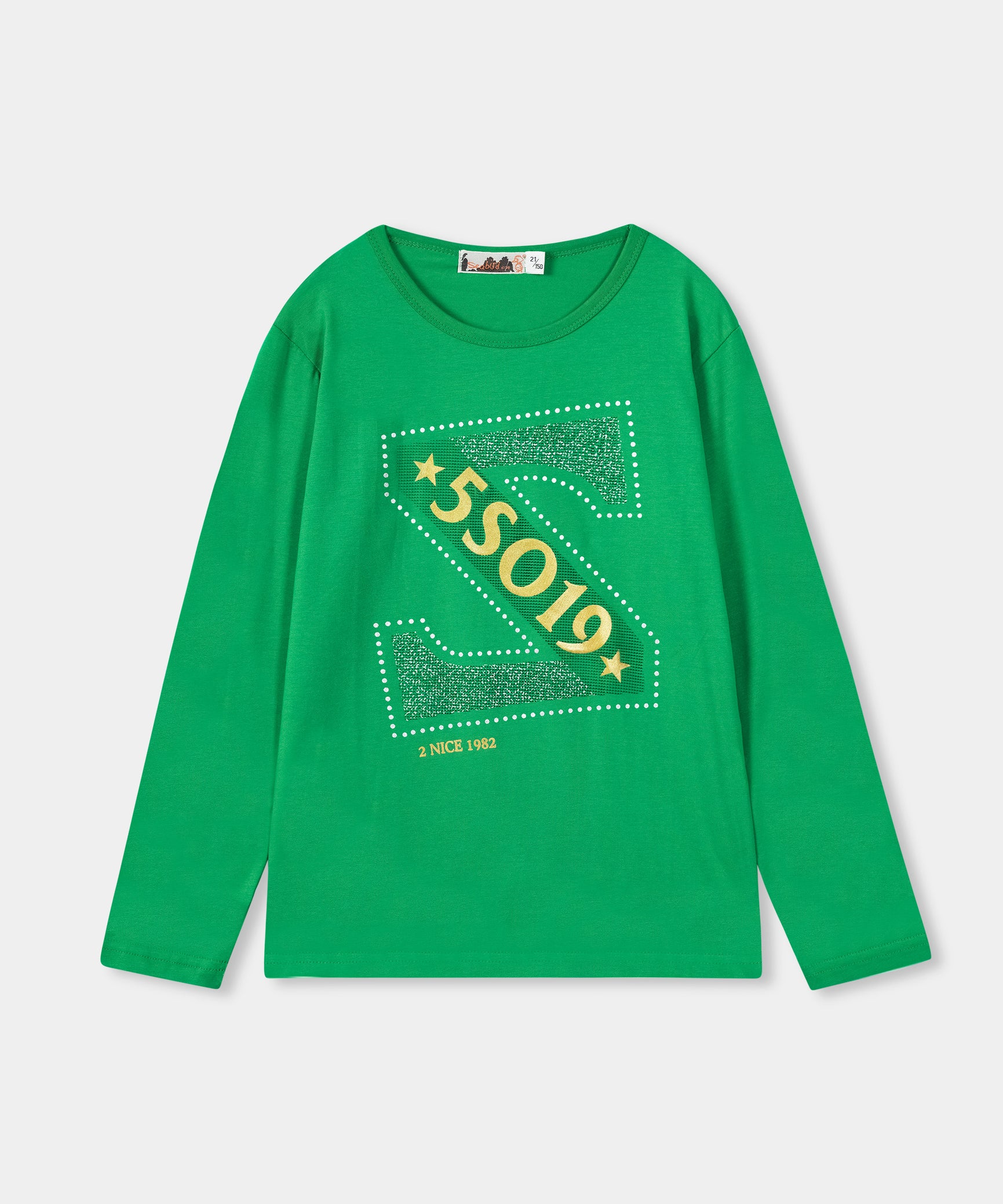 Boys Imported Graphic Print Green T-shirt with Long Sleeves and Crew Neck