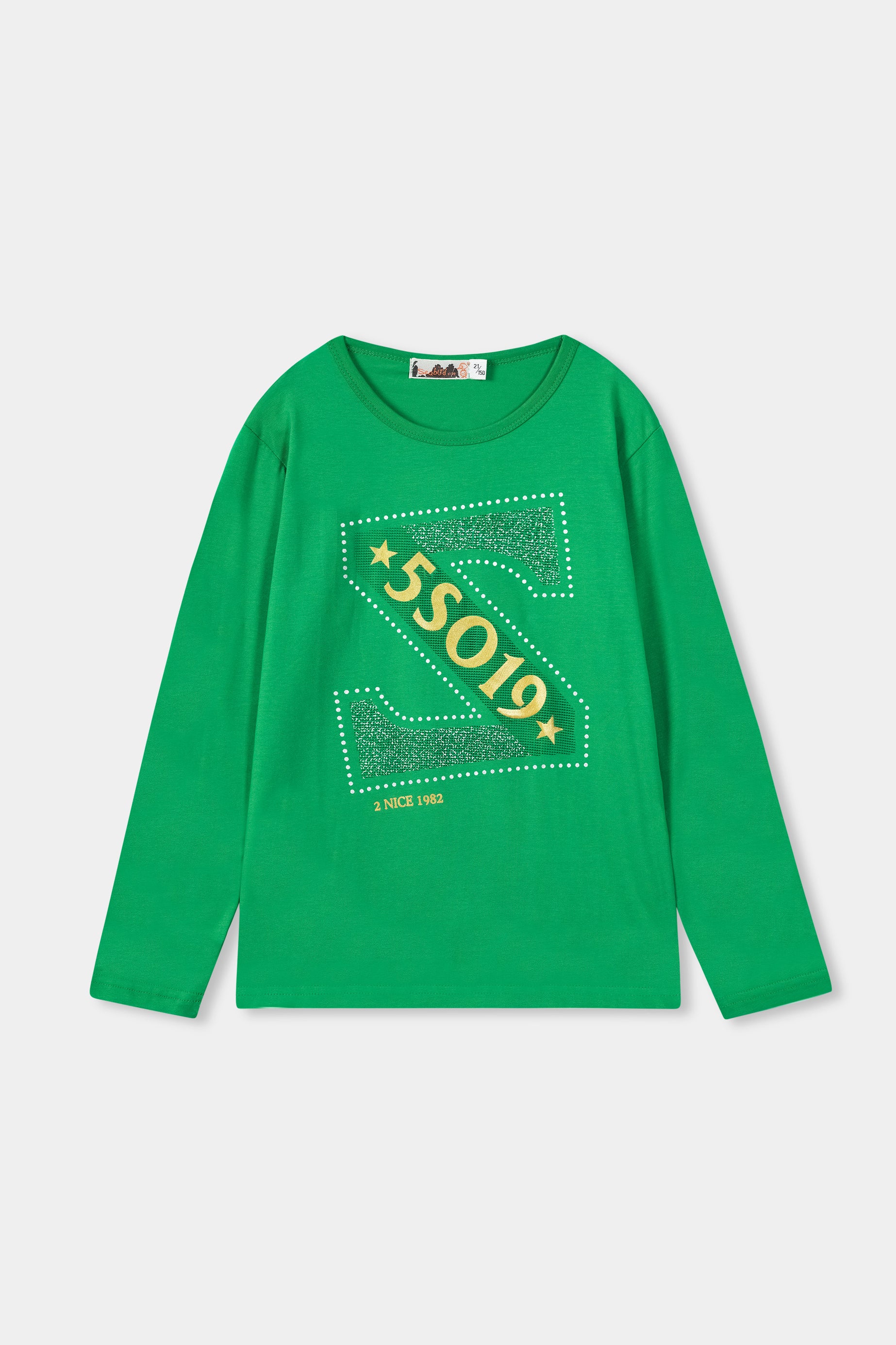 Boys Imported Graphic Print Green T-shirt with Long Sleeves and Crew Neck